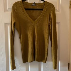 Express V-neck ribbed sweater
